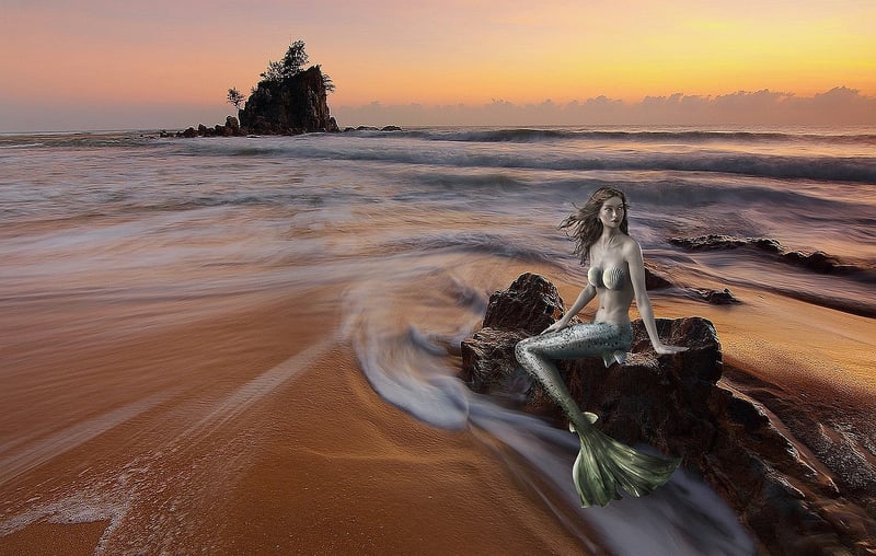 Mermaid Performer